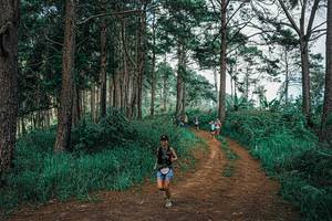 BIB: 
                            <button type="button" onclick="openModal(25763152)" class="btn btn-primary btn-sm float-right btn-popup" data-toggle="modal" data-target=".modal-high-quality">
                        <i class="fas fa-shopping-cart"></i> Add to Cart
                    </button>
                                            <button type="button" onclick="isThisMe(25763152, true)" class="btn btn-success btn-sm float-right btn-popup btn-isme hidden" data-toggle="tooltip" data-placement="bottom" title="นี่คือรูปของคุณใช่ไหม คลิกที่นี่เพื่อเอาเข้าอัลบั้ม">
                        <i class="fas fa-plus"></i> Add to album
                    </button>
                    <button type="button" onclick="isThisMe(25763152, false)" class="btn btn-warning btn-sm float-right btn-popup btn-isnotme hidden">
                        <i class="fas fa-ban"></i> Remove from album
                    </button>